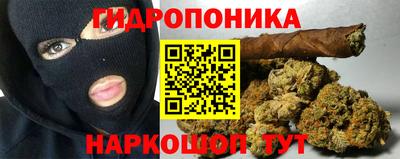 ПСИЛОЦИБИНОВЫЕ ГРИБЫ Камышлов