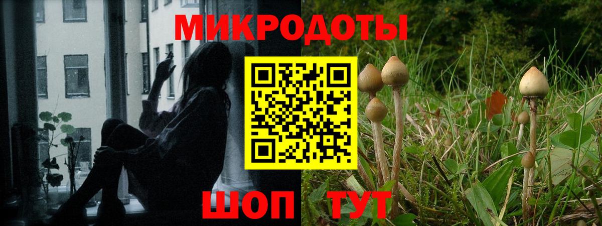 Красноярск  Галлюциногенные грибы MAGIC MUSHROOMS  Вход с VPN 