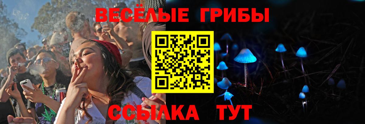 Галлюциногенные грибы MAGIC MUSHROOMS Красноярск